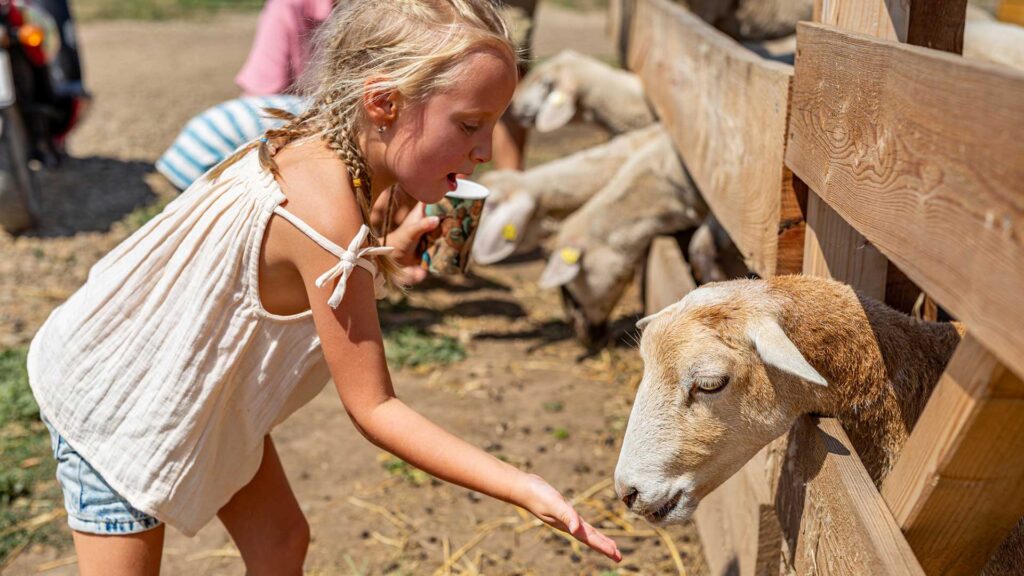 Sommer in der Family City: 5 Highlights für Familien – von Dinos über Kängurus bis zu 950 Jukeboxen